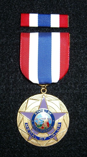 Medal of Valor Graphic
